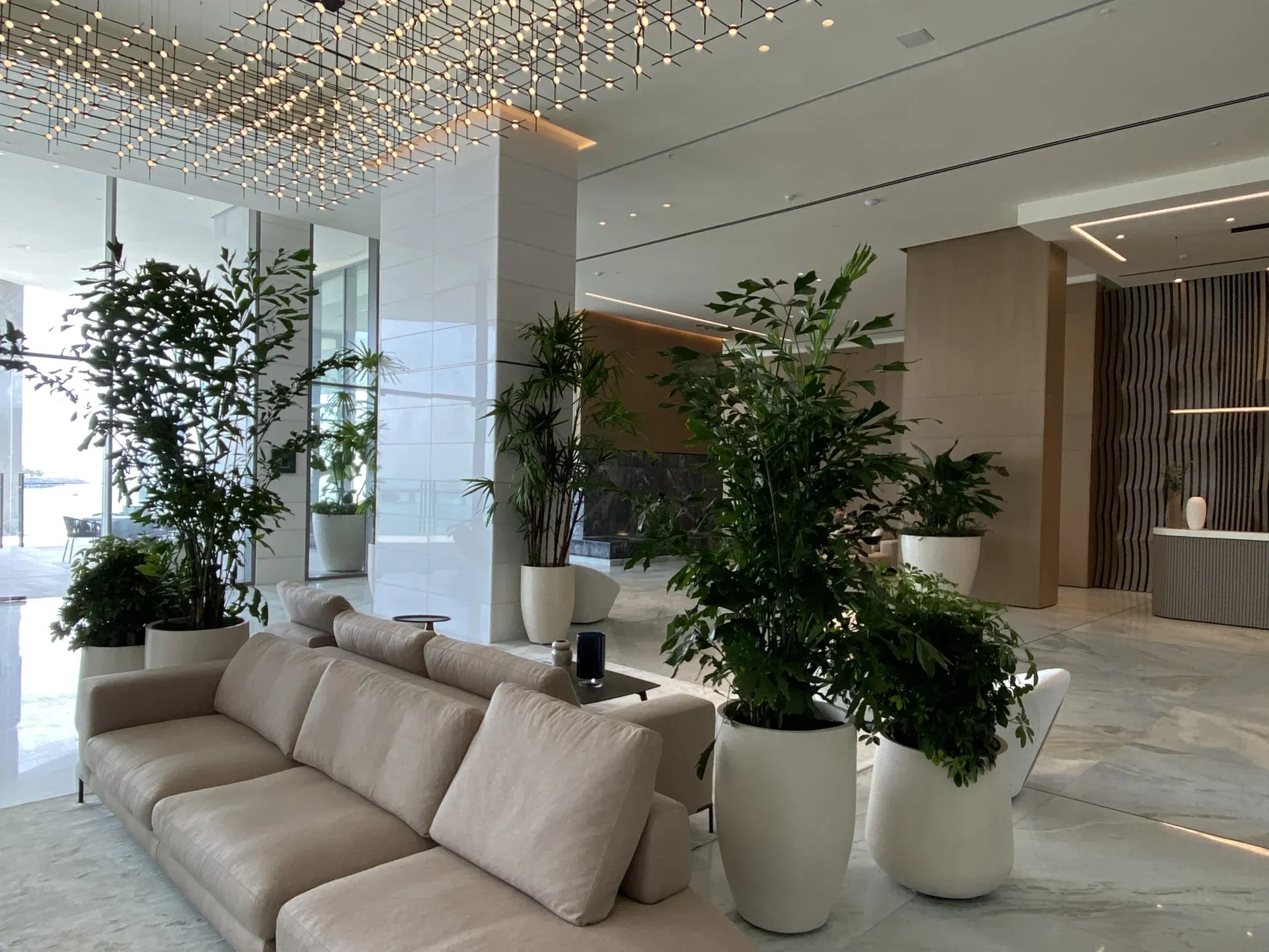 Grand Salon & The Lounge