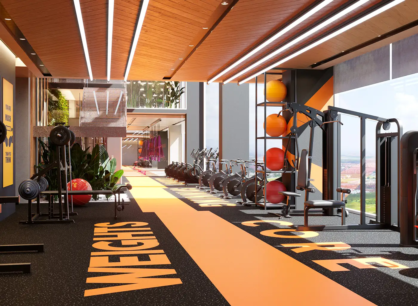 Professional Gym